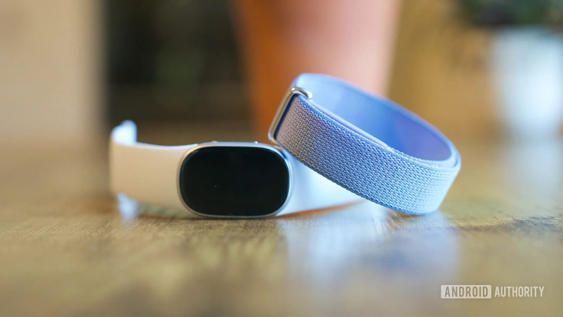 Google's Fitbit Edge and Fitbit Air fitness bands shown side by side, one with a screen and one without.