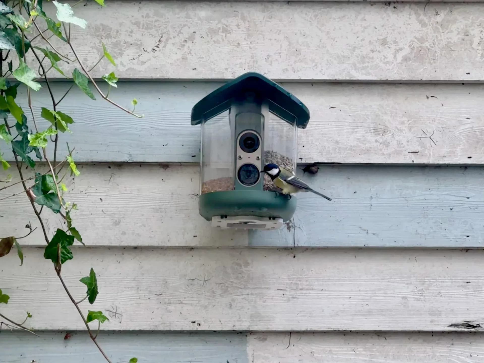 A smart bird feeder equipped with a camera mounted outdoors near garden branches