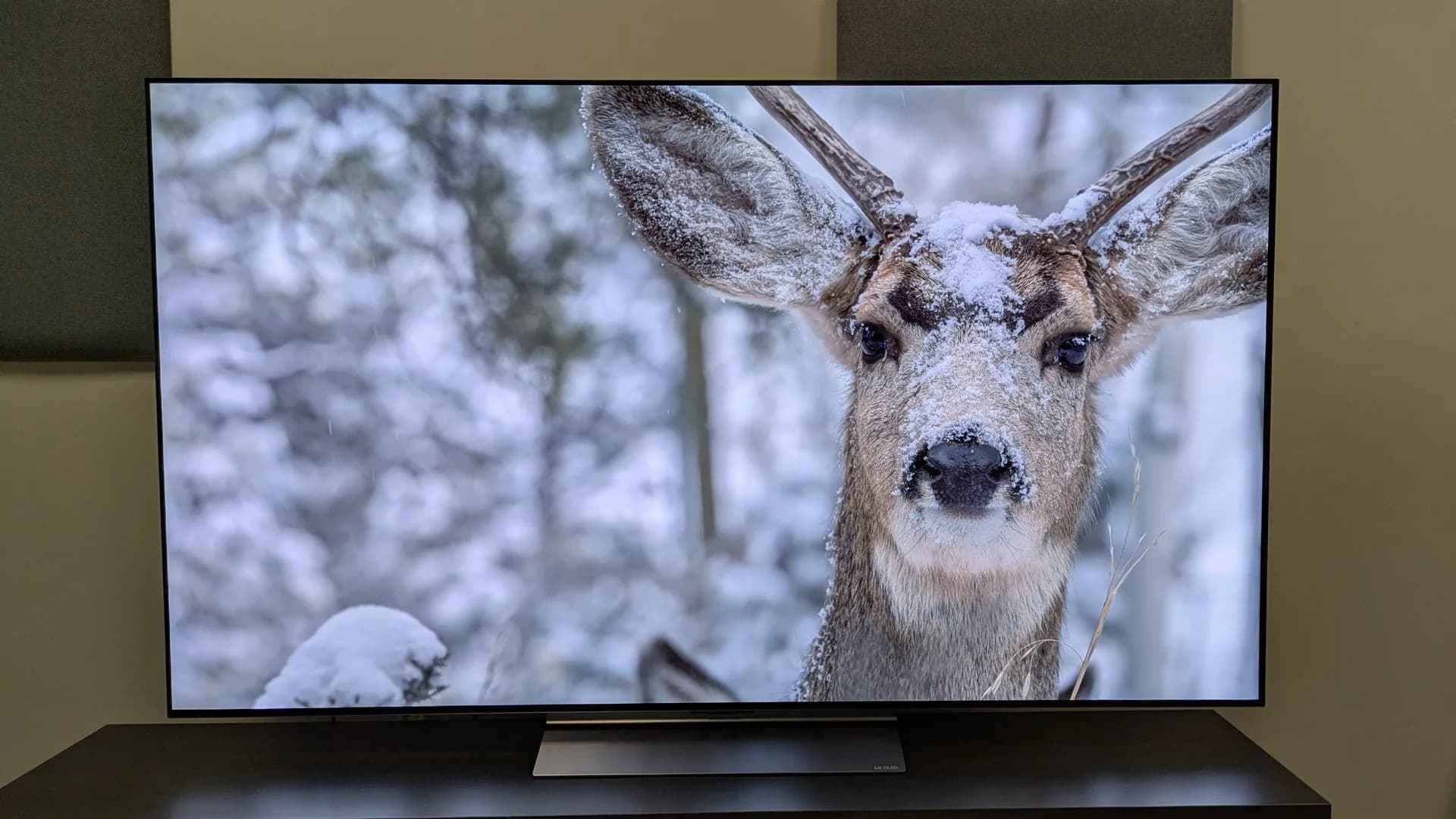 LG C6 OLED television displaying a colorful scene on a stand in a living room setting