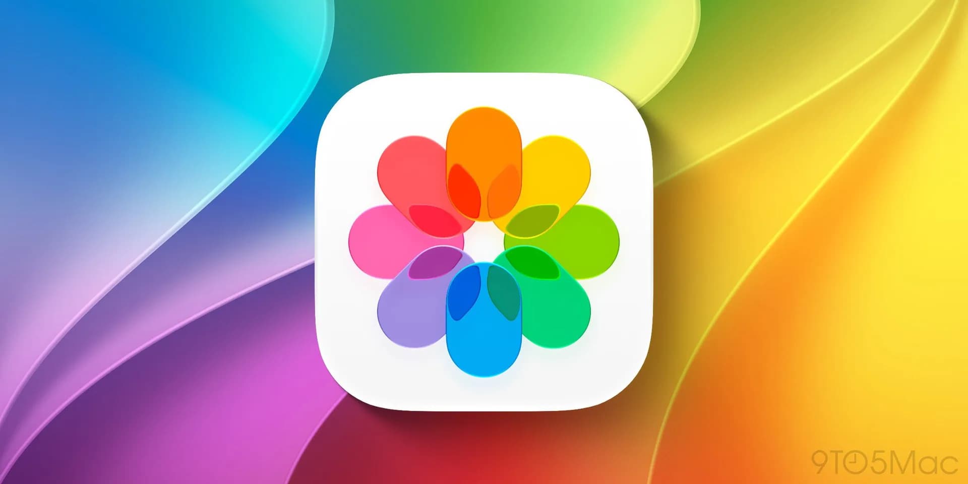 Apple Photos app interface shown on an iPhone screen with Shared Albums and editing tools visible