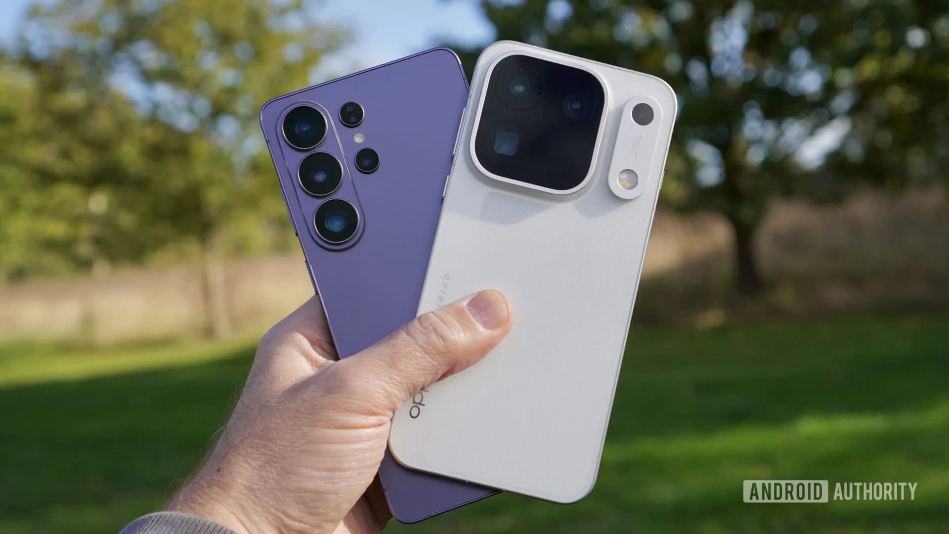 Side-by-side camera comparison photos from the Oppo Find X10 Pro Max and Samsung Galaxy S26 Ultra.