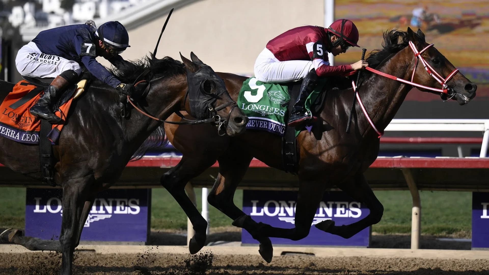 Thoroughbred racehorses competing on the track at Keeneland Race Course during the Breeders' Cup.