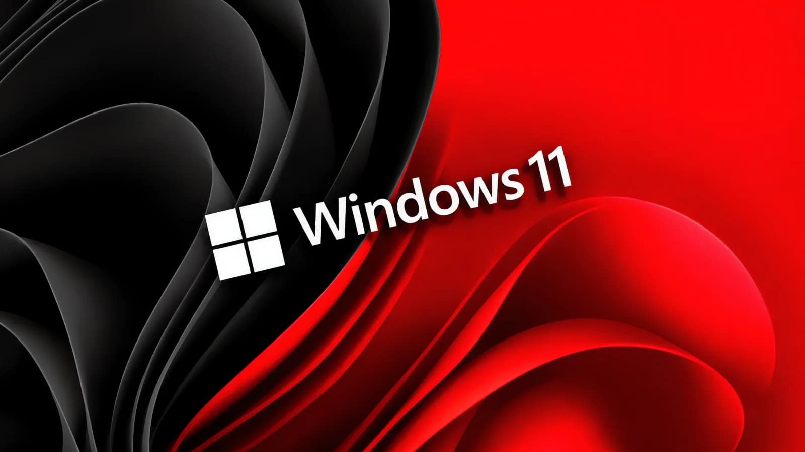 A Windows 11 desktop showing the Settings update screen on a laptop display.