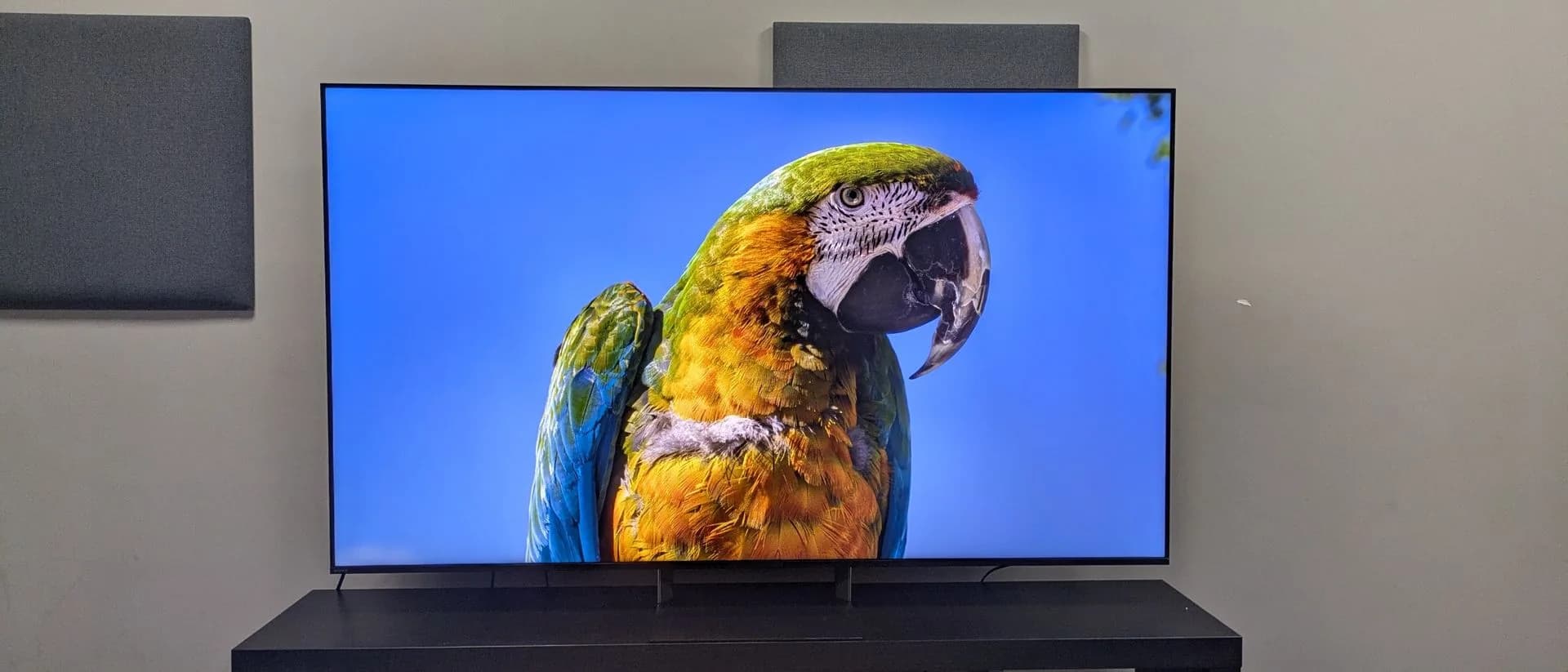 Sony Bravia 9 II 65-inch TV in a dimly lit living room, matte screen reflecting soft ambient light